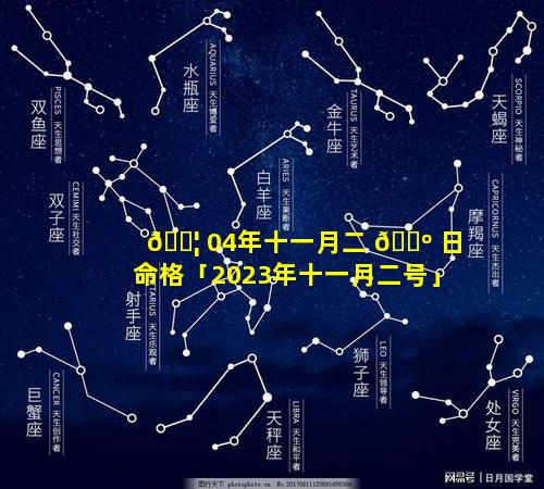 🐦 04年十一月二 🌺 日命格「2023年十一月二号」